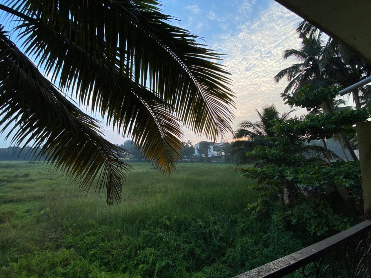Hotel Green Field View Candolim Exteriér fotografie