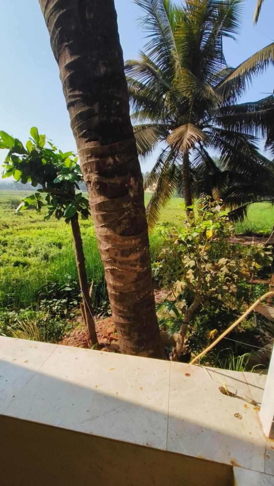 Hotel Green Field View Candolim Exteriér fotografie