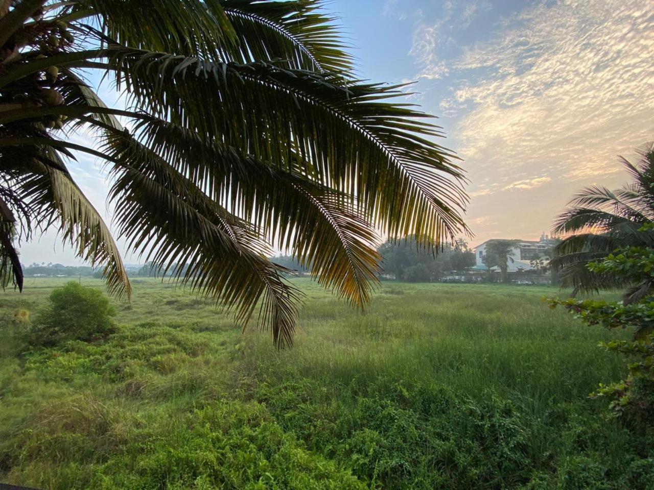 Hotel Green Field View Candolim Exteriér fotografie