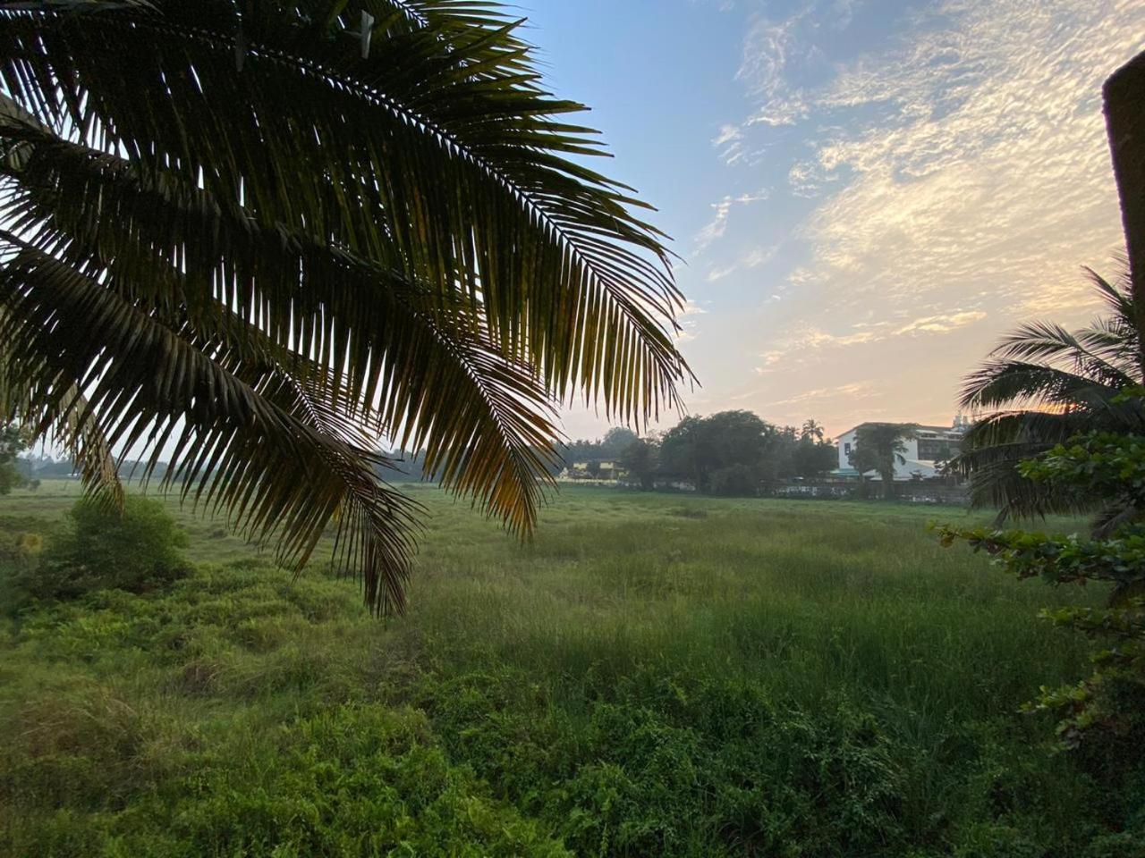 Hotel Green Field View Candolim Exteriér fotografie